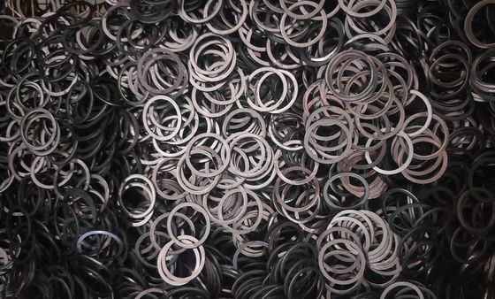 Blacking van de hoge Prestaties de Differentiële Wasmachine Hoge Weerstand van de Hardheidsslijtage